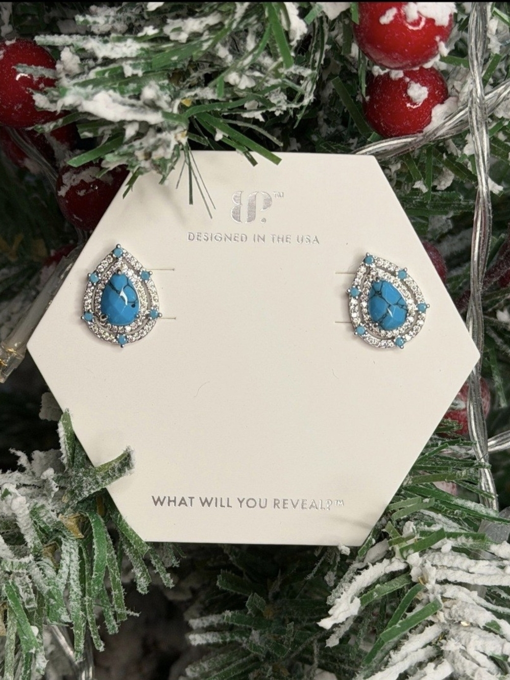 Cue The Compliments December Earrings. Bomb Party. Bp
